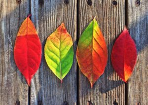 Fall is coming and it's time to think about doing some comprehensive fall HVAC maintenance in preparation for winter