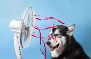 Best Air Conditioning repair service for Wake Forest, NC