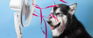 Cool Change provides Wake Forest residents with the best air conditioning repair services