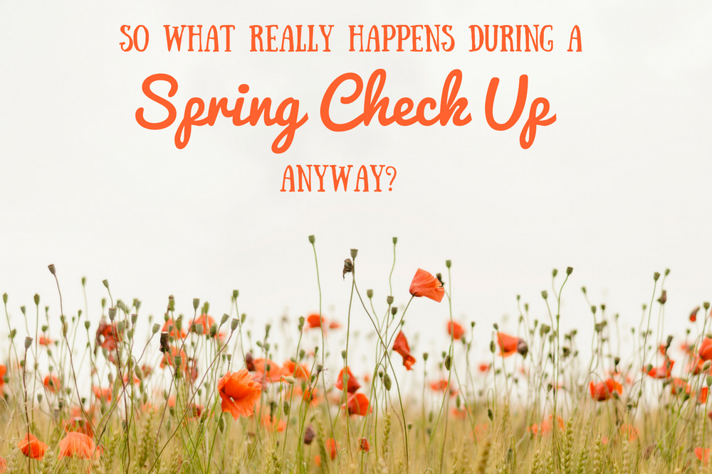 Time for your Spring AC Maintenance! Find out what we actually do during an air conditioner check up!