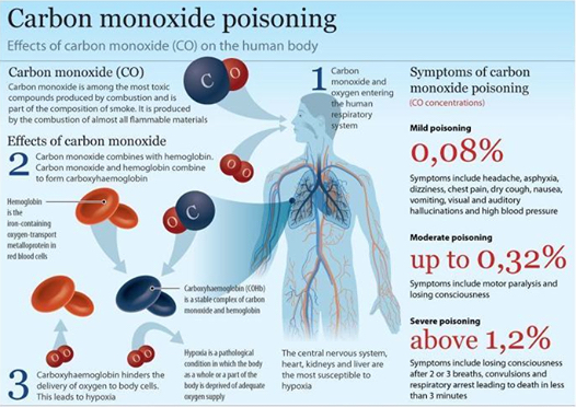 Effects of carbon monoxide poisoning on the human body